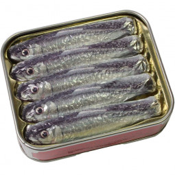 Sardines de chocolat au lait en boîte