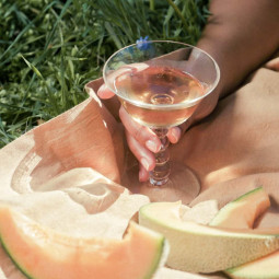 Pinot Noir Rosé-Wein Kabinett trocken 2020 Jahrgang