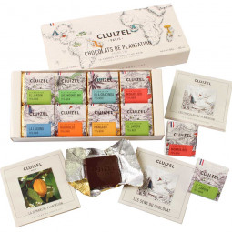 Chocolats de Plantation 16 Napolitains