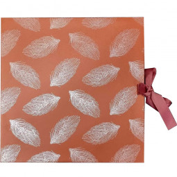 Pralinenbox Federn - leer